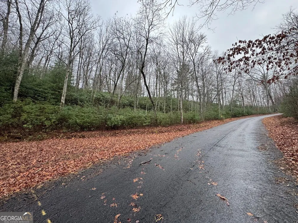 LOT 21 Whisper Ridge CT Hiawassee, GA 30546
