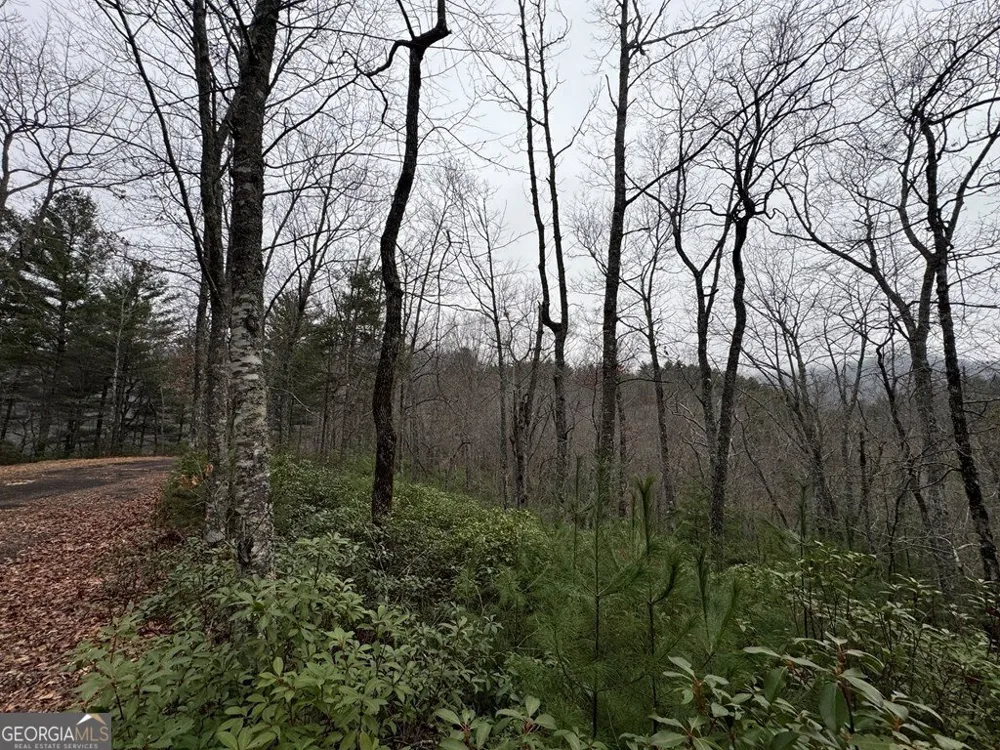 LOT 21 Whisper Ridge CT Hiawassee, GA 30546