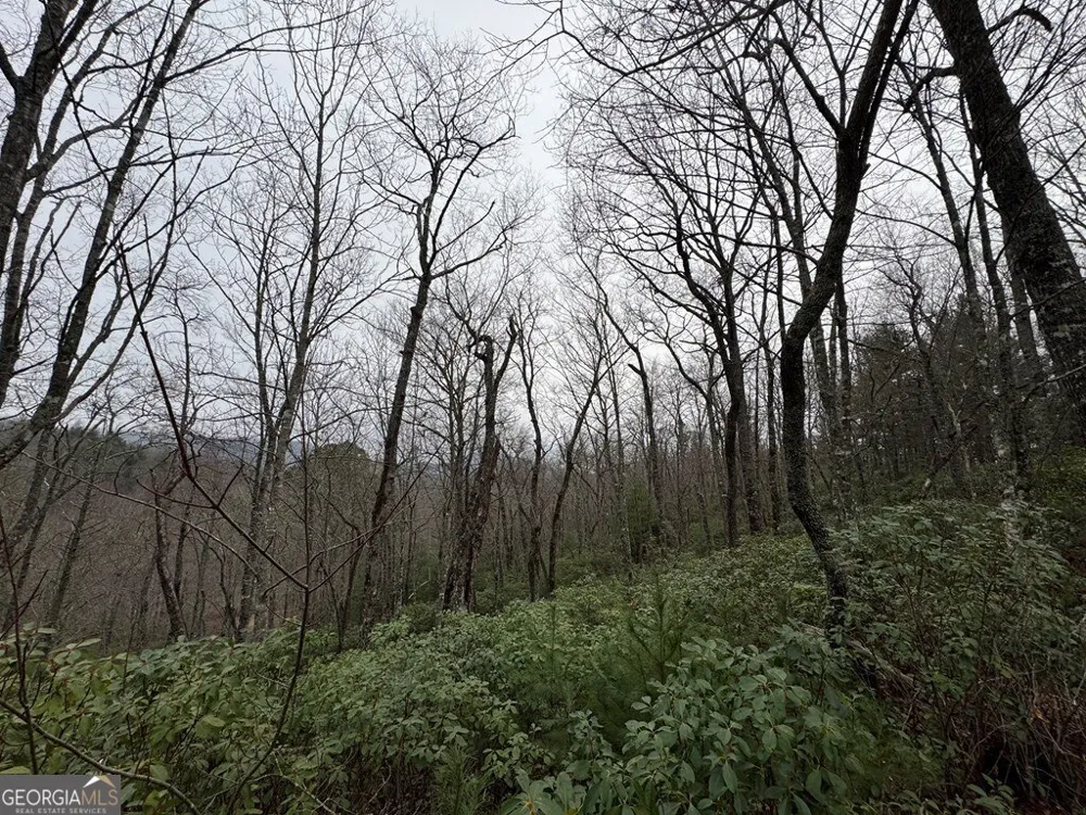 LOT 21 Whisper Ridge CT Hiawassee, GA 30546