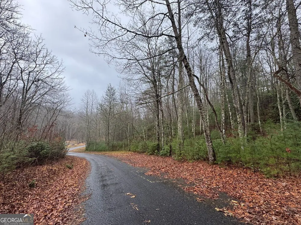 LOT 21 Whisper Ridge CT Hiawassee, GA 30546