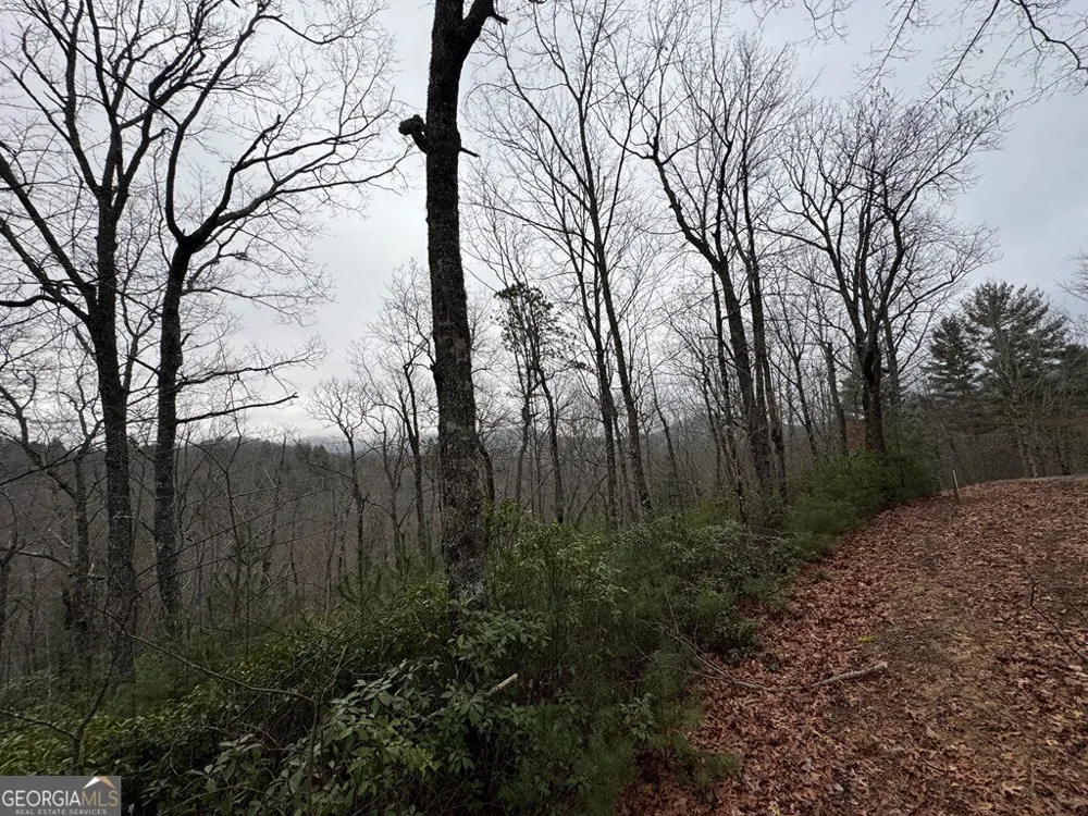 LOT 21 Whisper Ridge CT Hiawassee, GA 30546