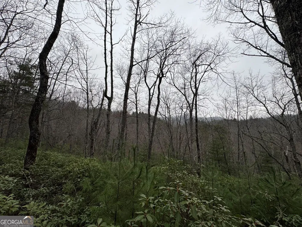 LOT 21 Whisper Ridge CT Hiawassee, GA 30546