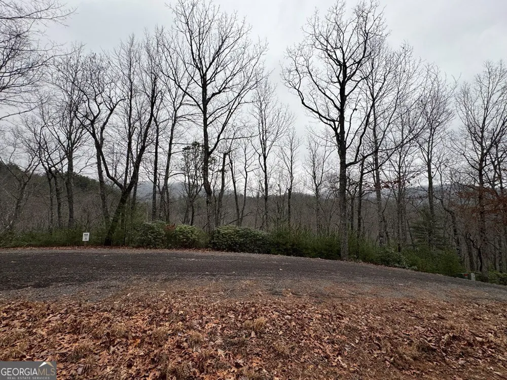 LOT 21 Whisper Ridge CT Hiawassee, GA 30546