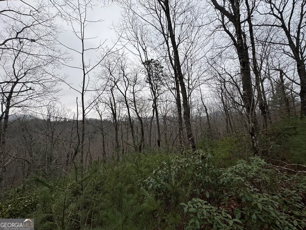 LOT 21 Whisper Ridge CT Hiawassee, GA 30546