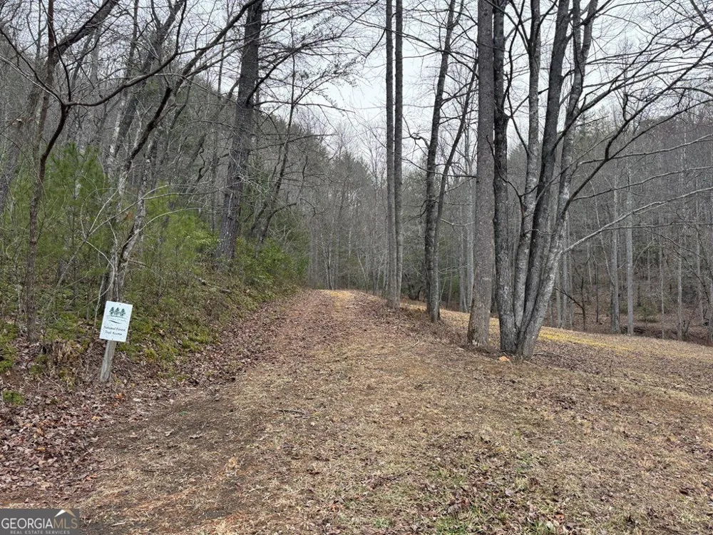LOT 21 Whisper Ridge CT Hiawassee, GA 30546