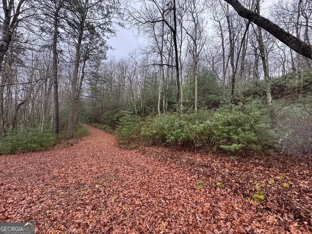 LOT 21 Whisper Ridge CT Hiawassee, GA 30546