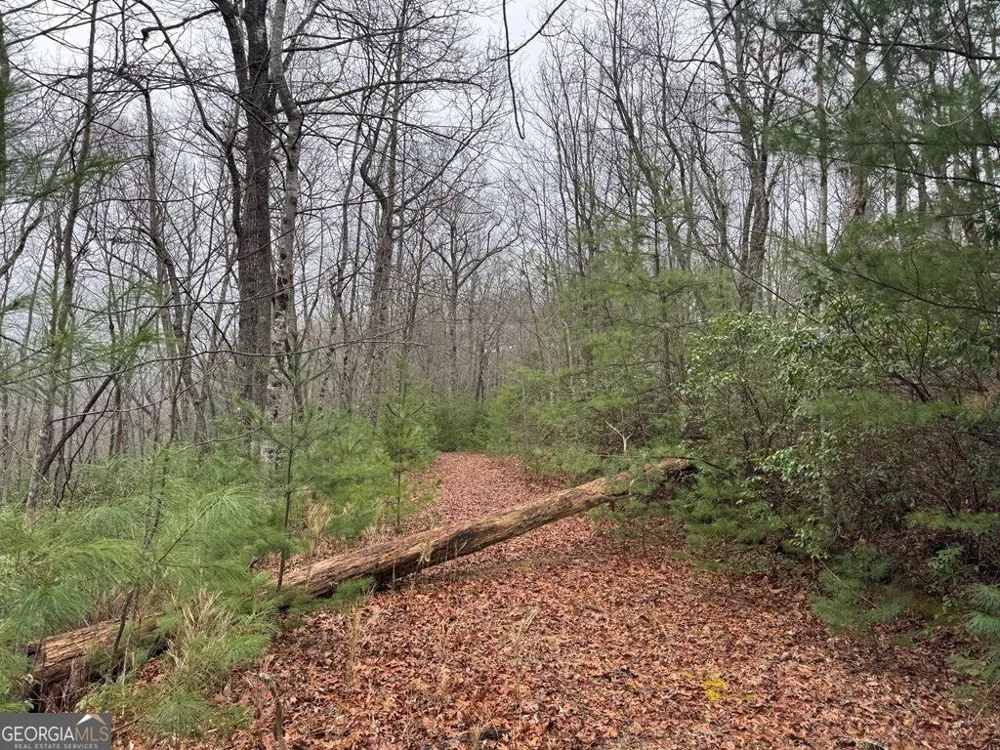 LOT 21 Whisper Ridge CT Hiawassee, GA 30546