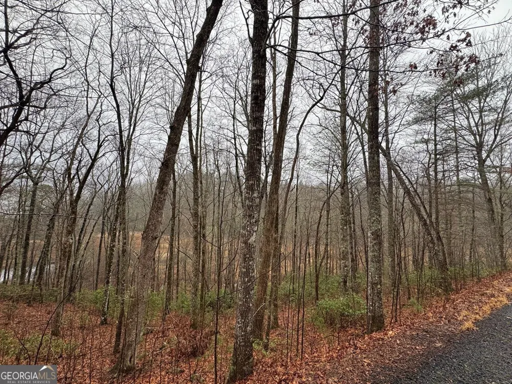 LOT 41 Whisper Woods RD Hiawassee, GA 30546