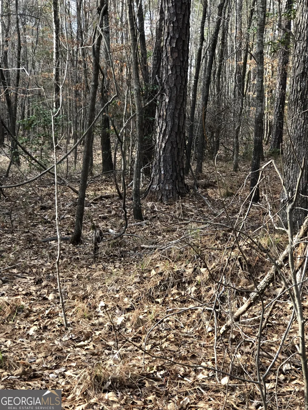 438 Lake Laurel RD Milledgeville, GA 31061