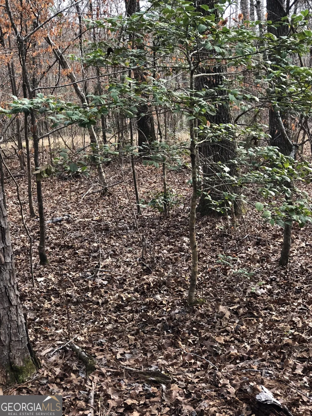 438 Lake Laurel RD Milledgeville, GA 31061