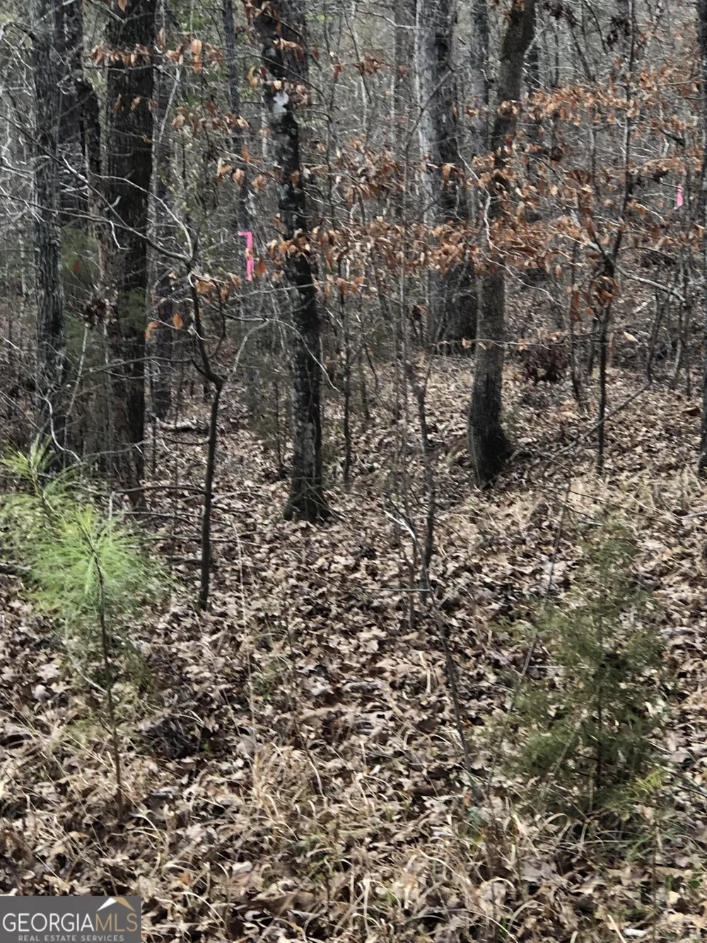 438 Lake Laurel RD Milledgeville, GA 31061