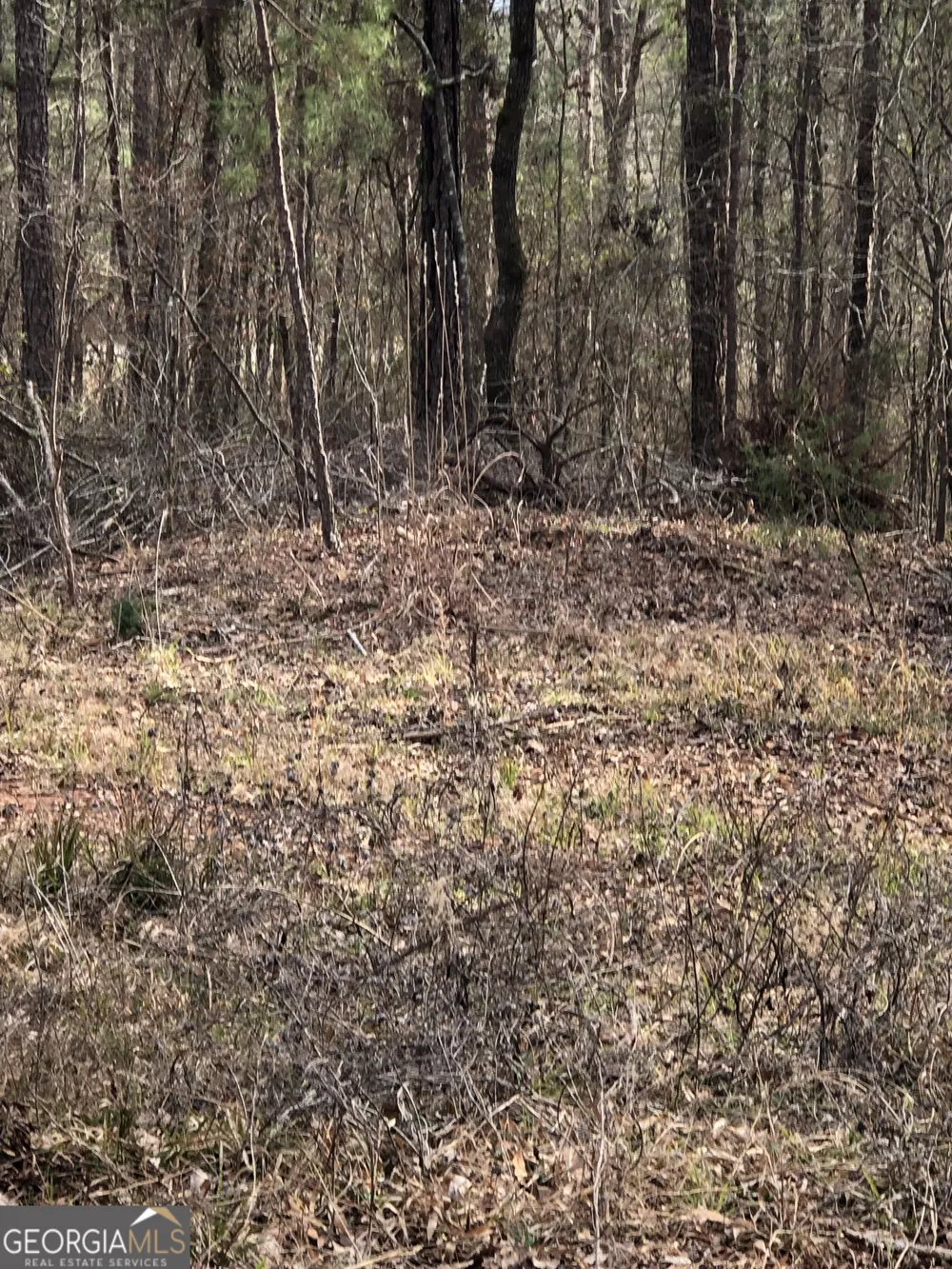 438 Lake Laurel RD Milledgeville, GA 31061