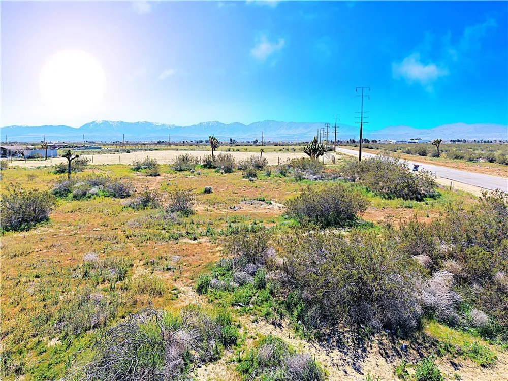 110th St East Street Sun Village, CA 93543