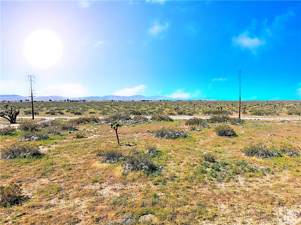 110th St East Street Sun Village, CA 93543