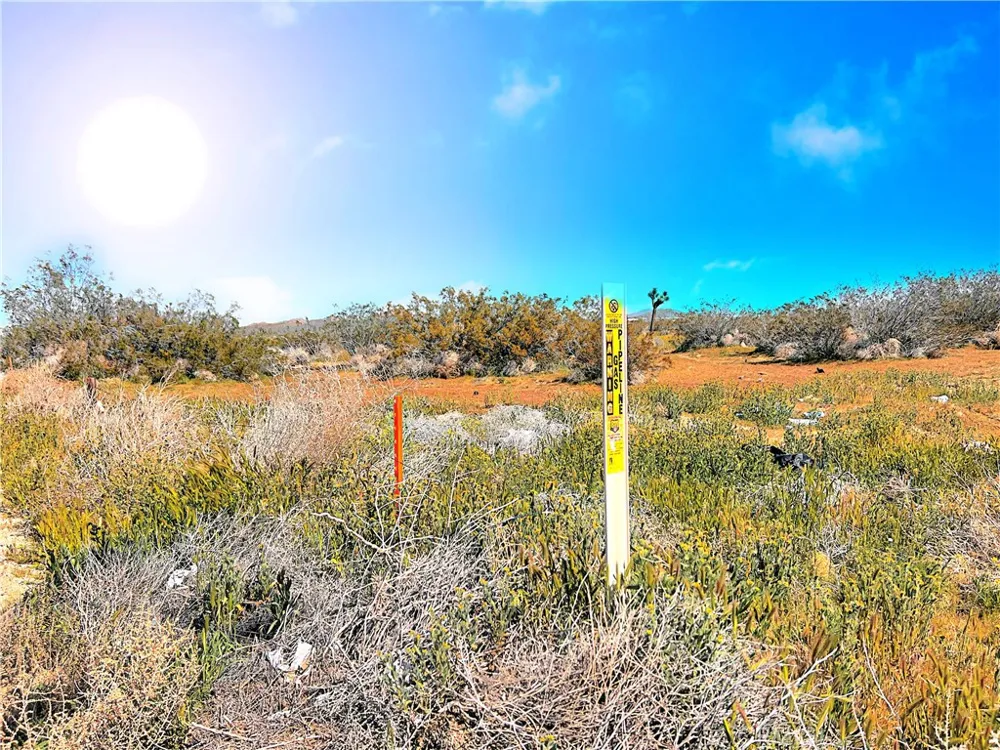 110th St East Street Sun Village, CA 93543