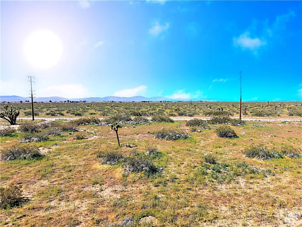 110th St East Street Sun Village, CA 93543