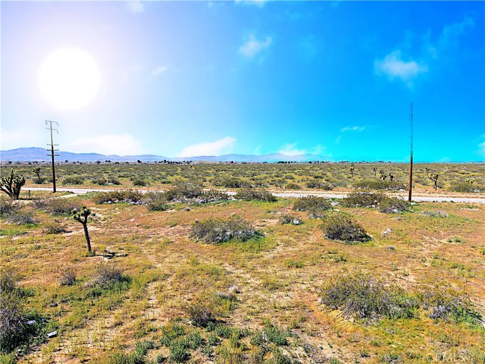 110th St East Street Sun Village, CA 93543