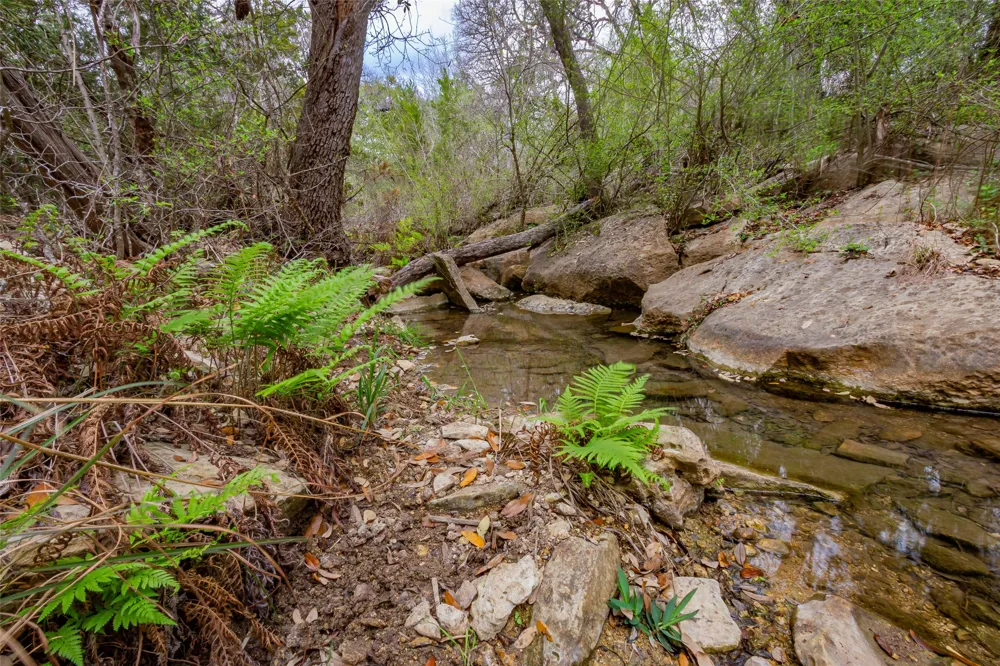 250 Mail Route Fischer, TX 78623