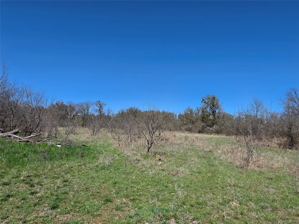 309 Hwy 36 Gustine, TX 76455