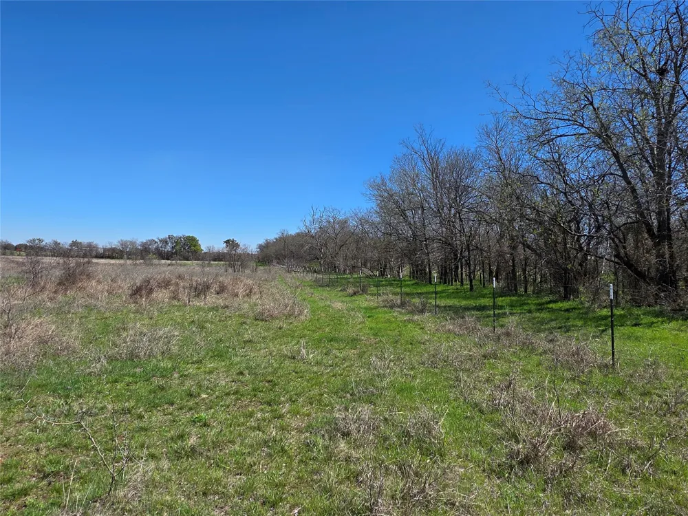 309 Hwy 36 Gustine, TX 76455