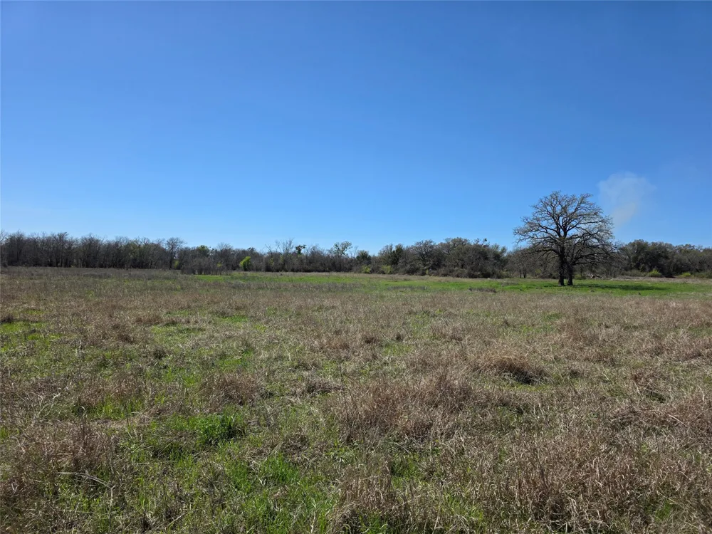 309 Hwy 36 Gustine, TX 76455