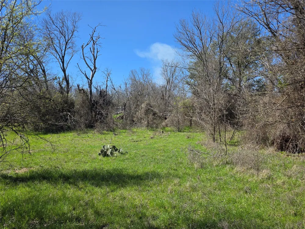 309 Hwy 36 Gustine, TX 76455