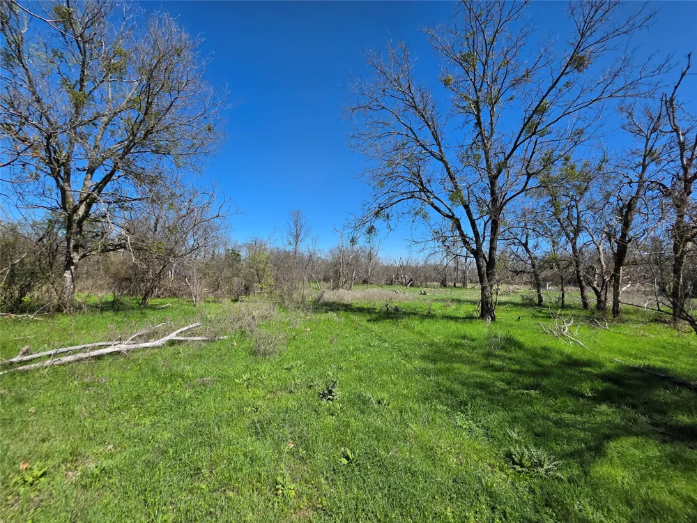 309 Hwy 36 Gustine, TX 76455