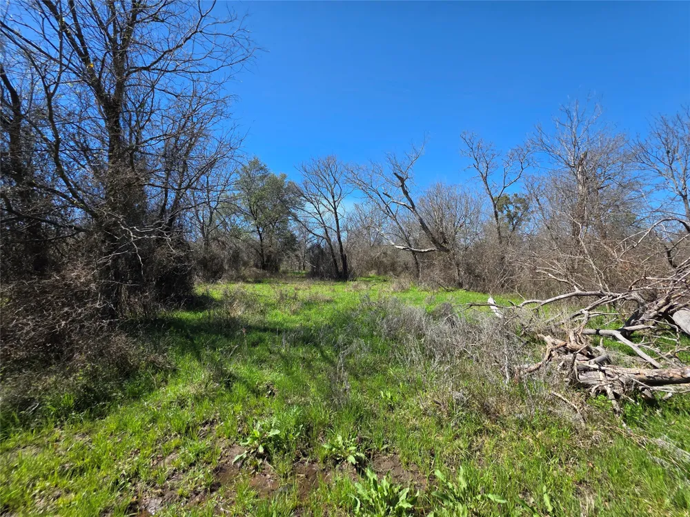 309 Hwy 36 Gustine, TX 76455
