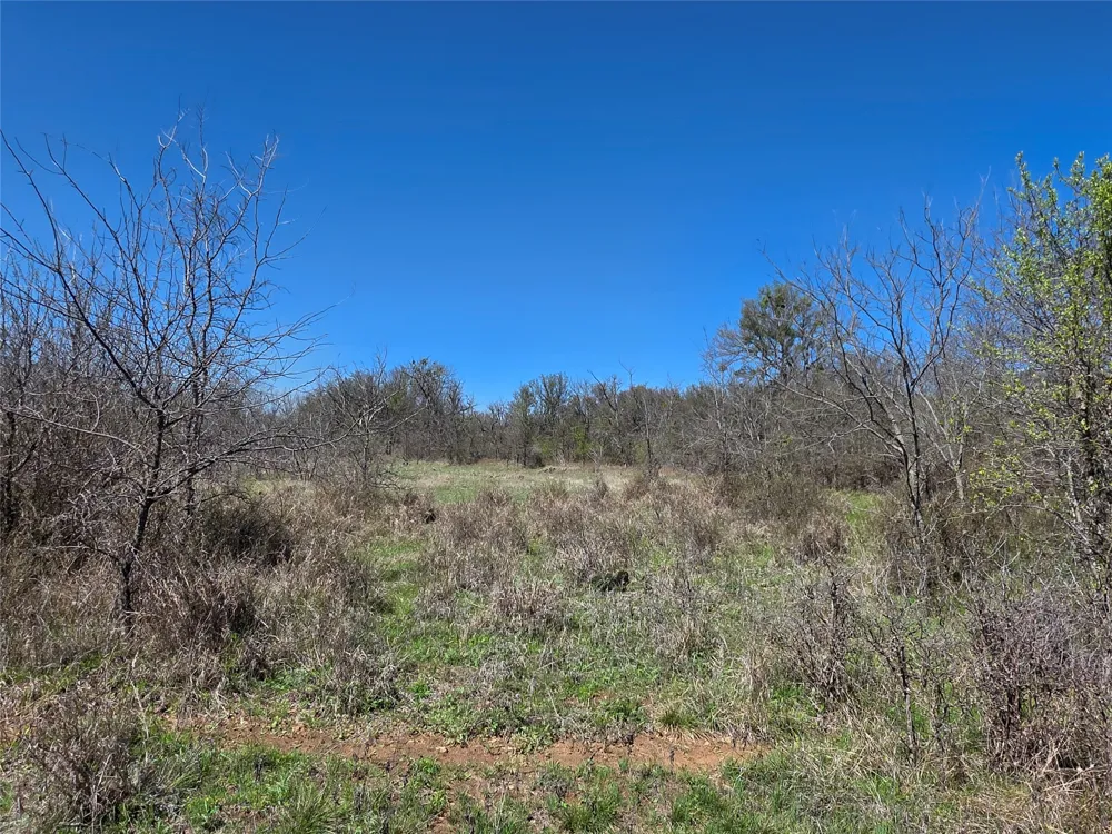 309 Hwy 36 Gustine, TX 76455