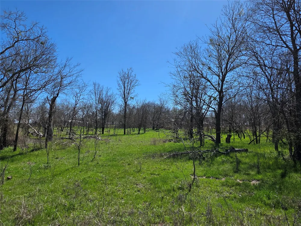 309 Hwy 36 Gustine, TX 76455