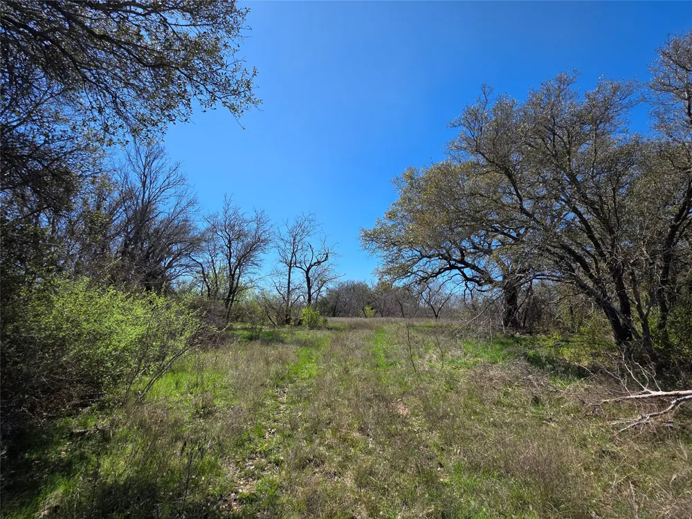 309 Hwy 36 Gustine, TX 76455