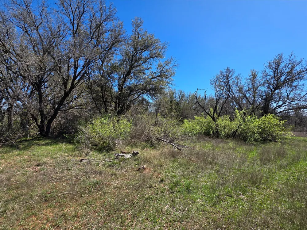 309 Hwy 36 Gustine, TX 76455