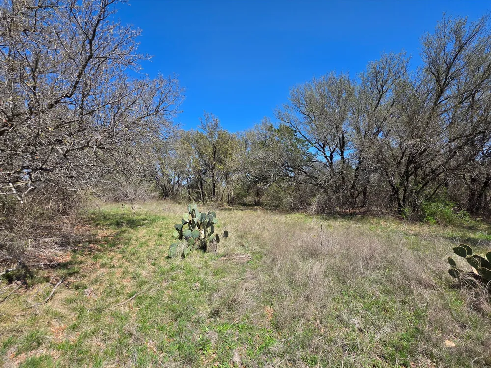 309 Hwy 36 Gustine, TX 76455