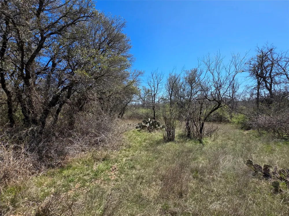 309 Hwy 36 Gustine, TX 76455