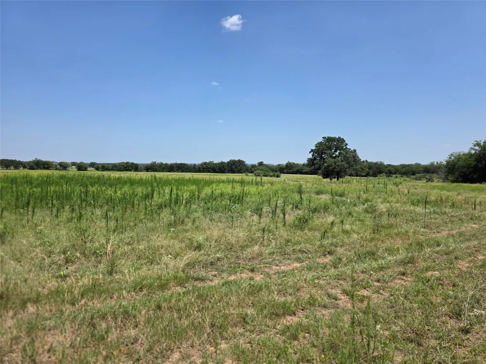 309 Hwy 36 Gustine, TX 76455