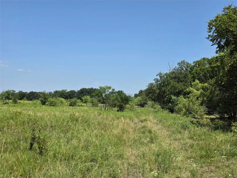 309 Hwy 36 Gustine, TX 76455