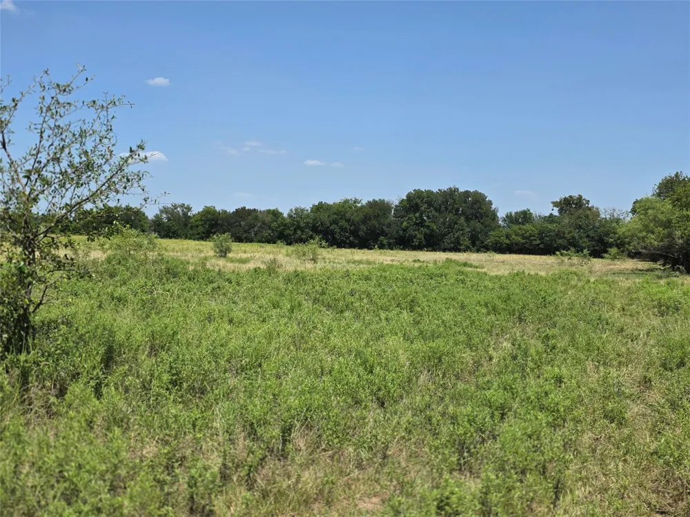 309 Hwy 36 Gustine, TX 76455