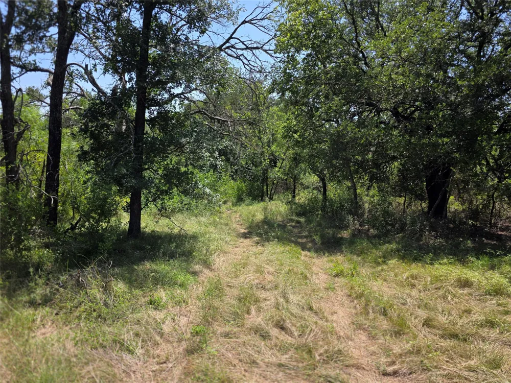 309 Hwy 36 Gustine, TX 76455