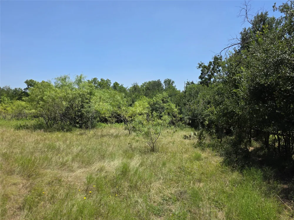 309 Hwy 36 Gustine, TX 76455