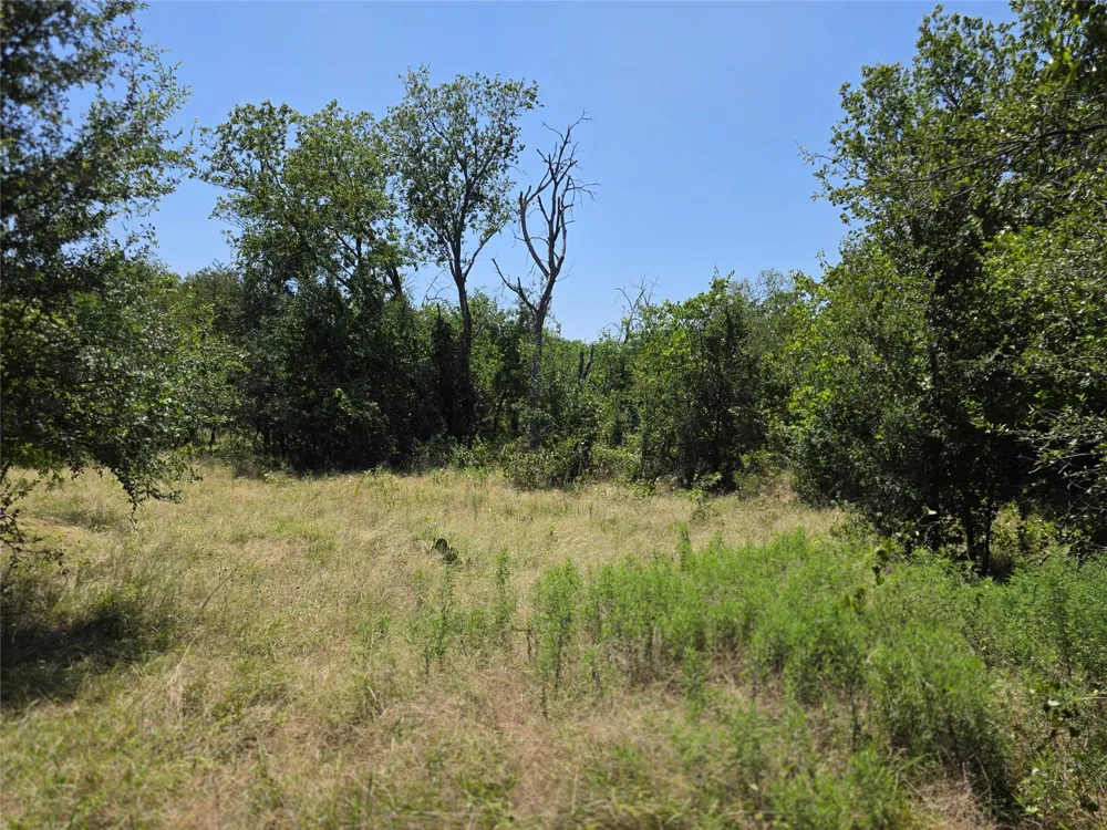309 Hwy 36 Gustine, TX 76455