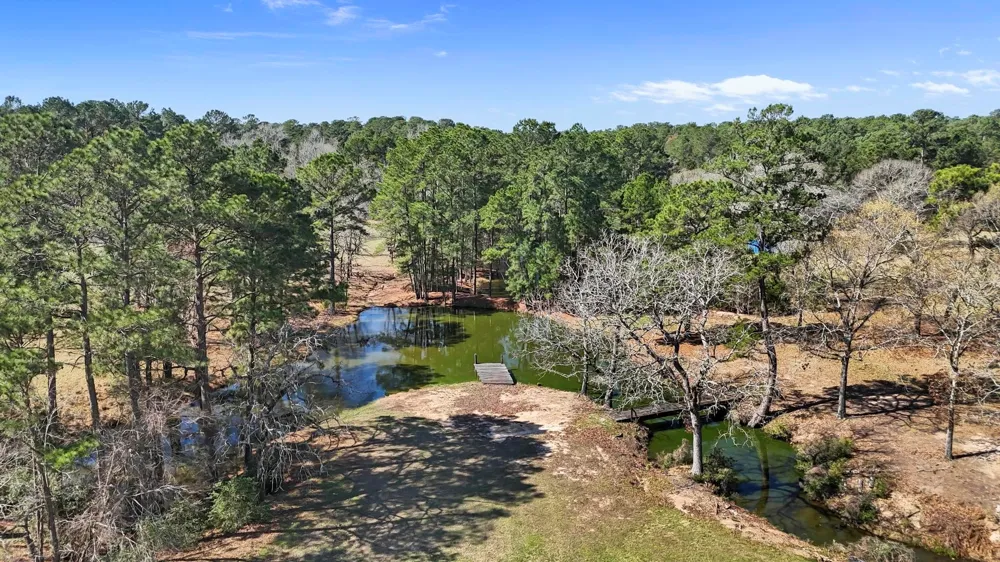 19225 Forest Service Road 219 Richards, TX 77873