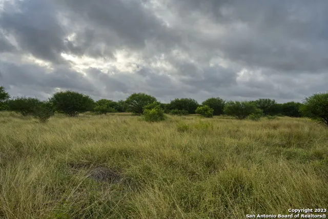 2538 COUNTY ROAD 223 Floresville, TX 78114
