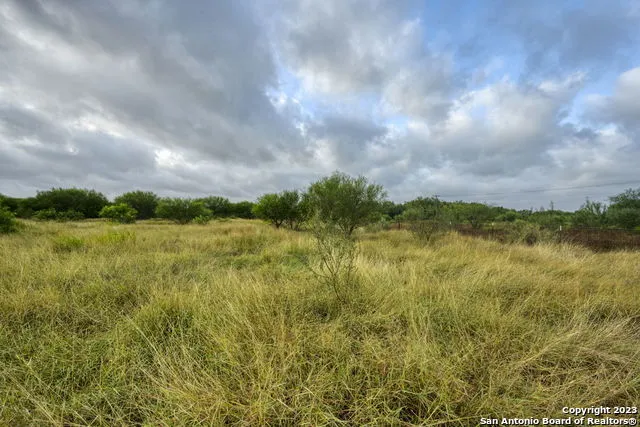 2538 COUNTY ROAD 223 Floresville, TX 78114