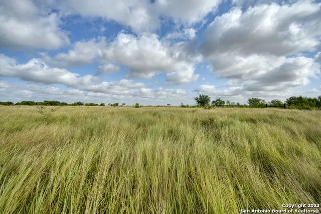 2538 COUNTY ROAD 223 Floresville, TX 78114