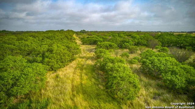 2538 COUNTY ROAD 223 Floresville, TX 78114