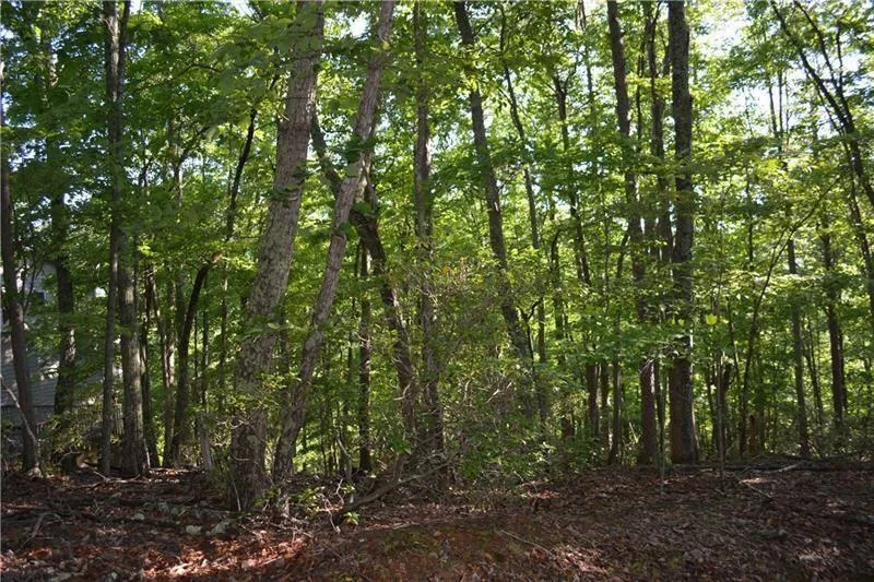 1150 Swallow Point Big Canoe, GA 30143