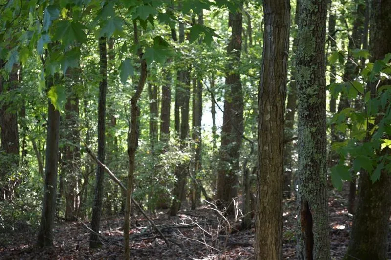 1150 Swallow Point Big Canoe, GA 30143