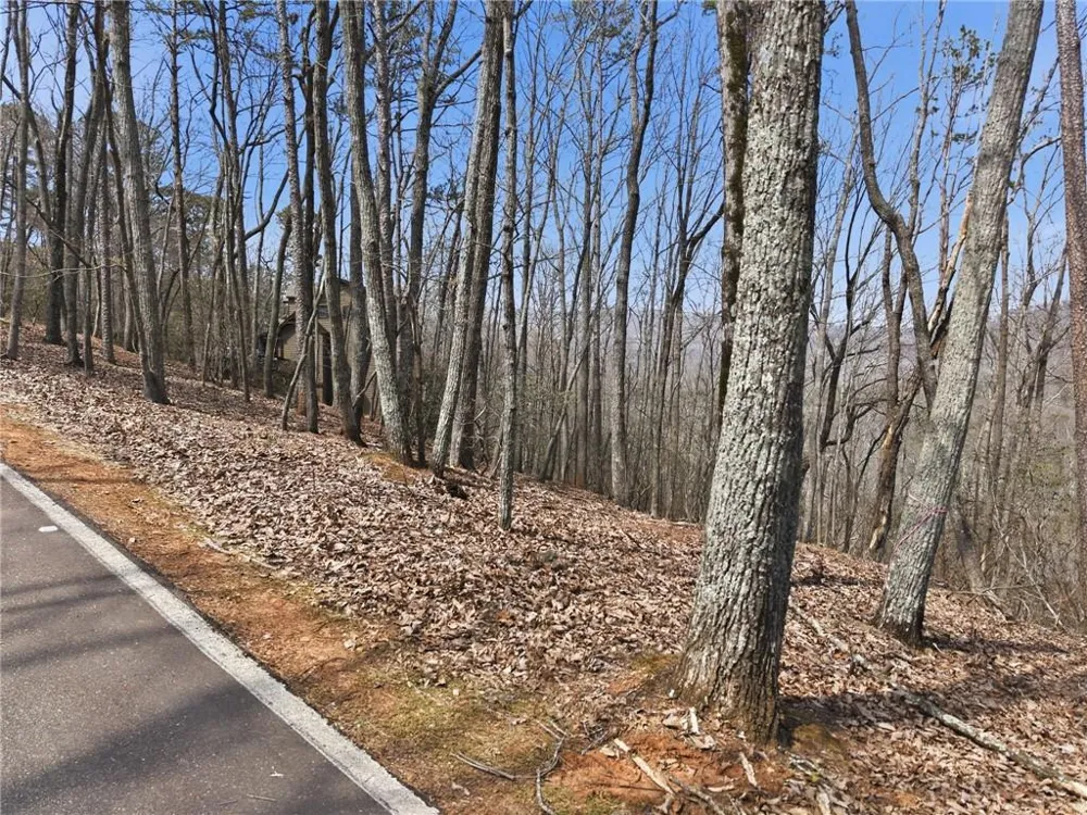 1150 Swallow Point Big Canoe, GA 30143