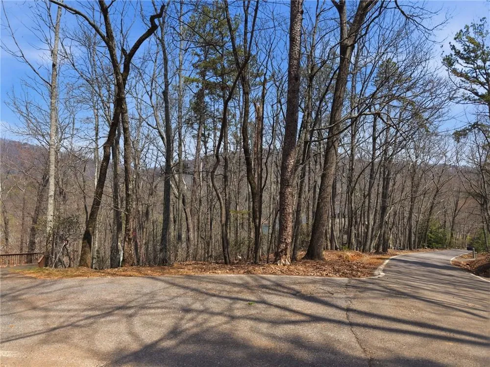 1150 Swallow Point Big Canoe, GA 30143