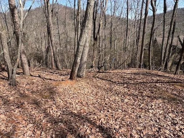 1150 Swallow Point Big Canoe, GA 30143